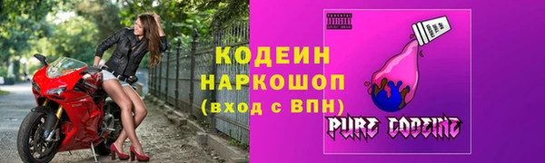 шишки Горно-Алтайск